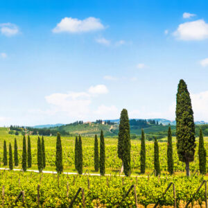 “Parlare di territori significa raccontare pezzi di identità italiana. Siamo il set più bello”