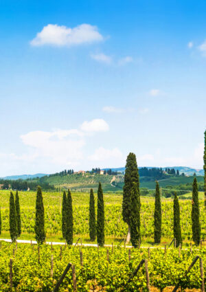 “Parlare di territori significa raccontare pezzi di identità italiana. Siamo il set più bello”