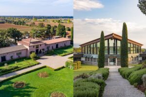 Vini ed esperienze “da sogno” in asta con Sotheby’s per la Fondazione della Cité du Vin di Bordeaux