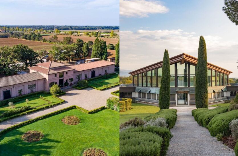 La Tenuta San Guido e la Tenuta dell’Ornellaia, icone di Bolgheri