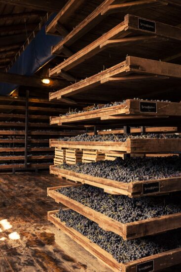 I fruttai dove appassiscono le uve