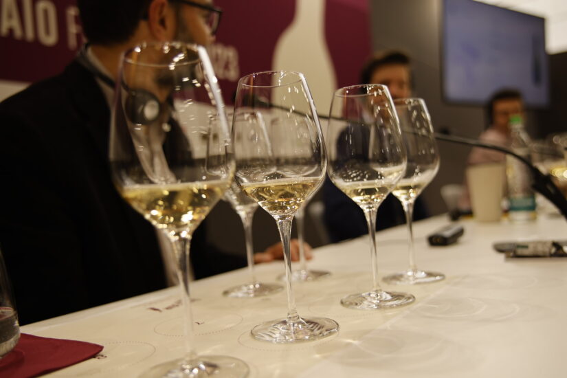 Slow Wine Fair 2024: viticoltura buon esempio per l’agricoltura