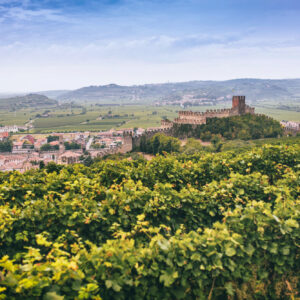 Soave, &ldquo;dopo le Mga, un ulteriore percorso di distinzione e valorizzazione territoriale&rdquo;
