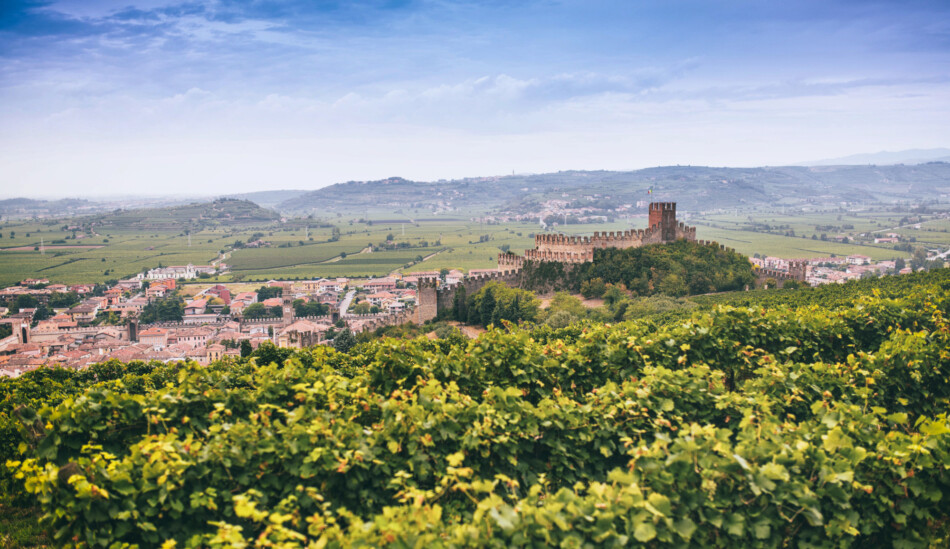 Soave, i vigneti ed il Castello Scaligero (credit: Consorzio del Soave)