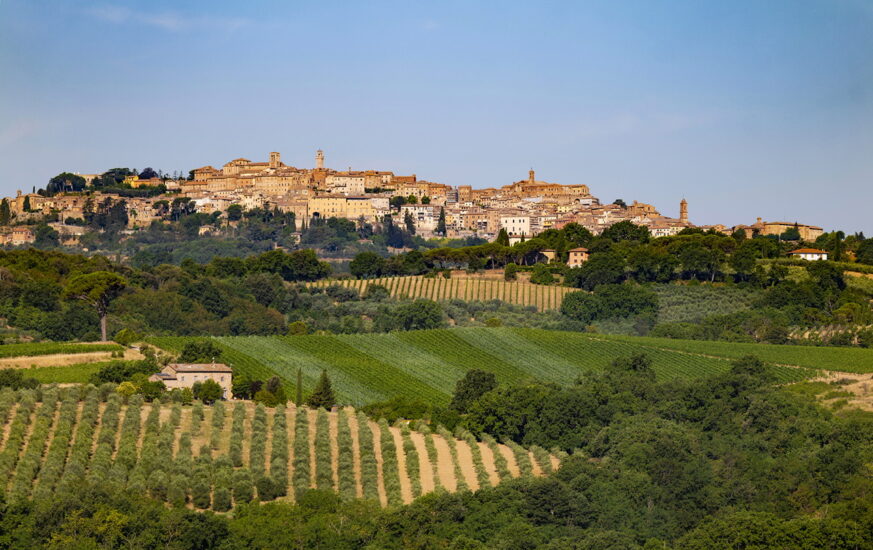 I vigneti di Montepulciano