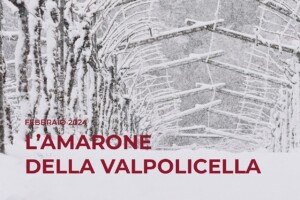 I Quaderni di WineNews - L'Amarone della Valpolicella