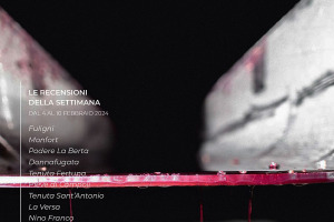 I Vini di WineNews - N. 296