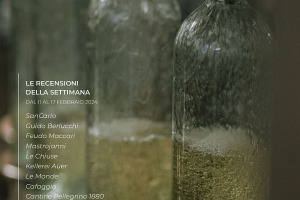 I Vini di WineNews - N. 297