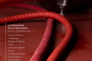 I Vini di WineNews - N. 298