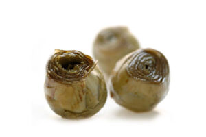 Agnoni, Carciofi alla Cafona