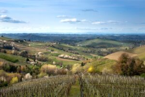 Magico, letterario e pioniere dell’enologia italiana, nel 2024 il Monferrato celebra i suoi primati