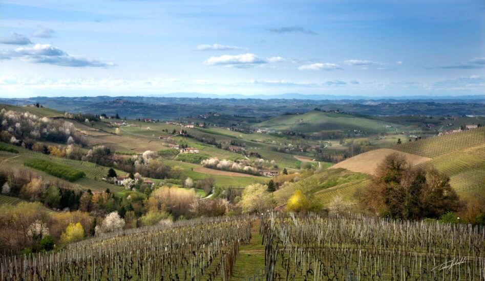I vigneti di Alta Langa