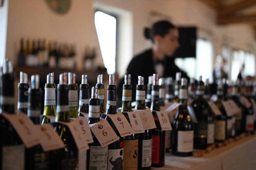 Anteprima Montepulciano d’Abruzzo 2024 - Bottiglie Doc