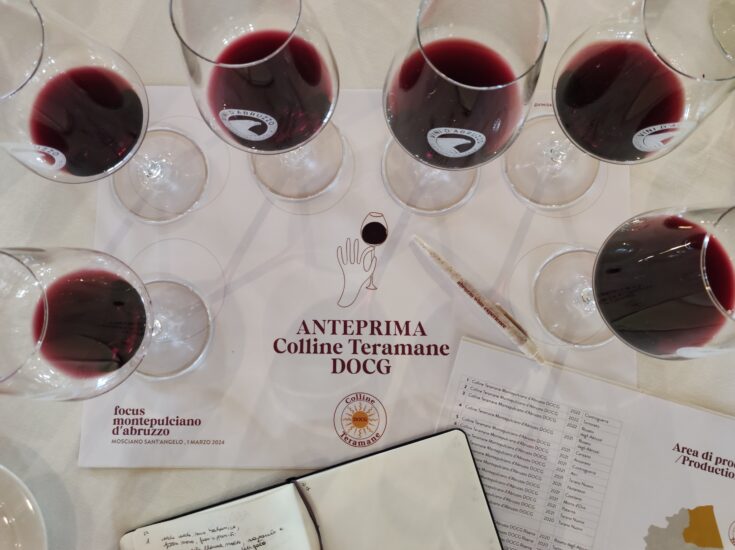 Anteprima Montepulciano d’Abruzzo 2024 - Degustazione Docg Colline Teramane