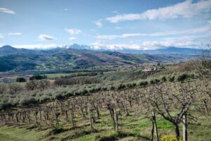 Il “Modello Abruzzo” migliora ancora in qualità. Prossima sfida: definire le sue diverse identità