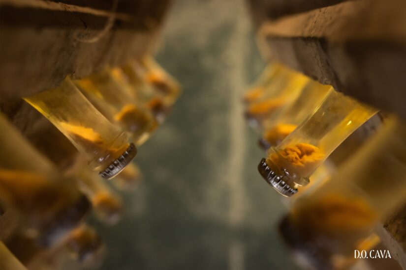 Il Cava in affinamento