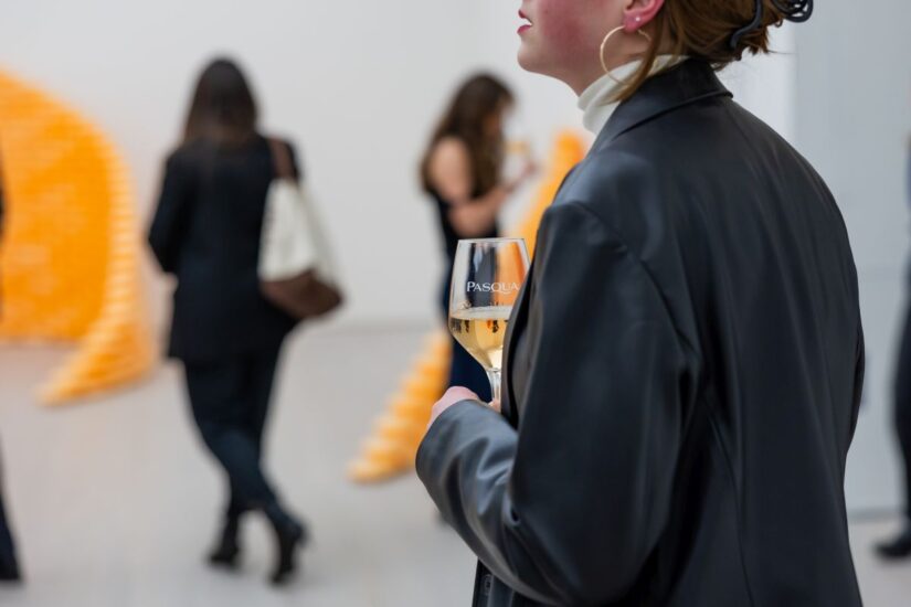 Credit: Pasqua Wines Press Briefing Saatchi Gallery