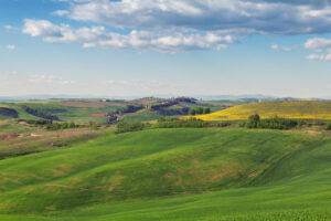 Il paesaggio italiano in 50 anni ha perso una superficie pari a 12 milioni di campi da calcio