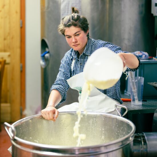 Sulle Dolomiti Paganella per riscoprire i sapori delle Alpi Trentine con “Gusto Alpino”