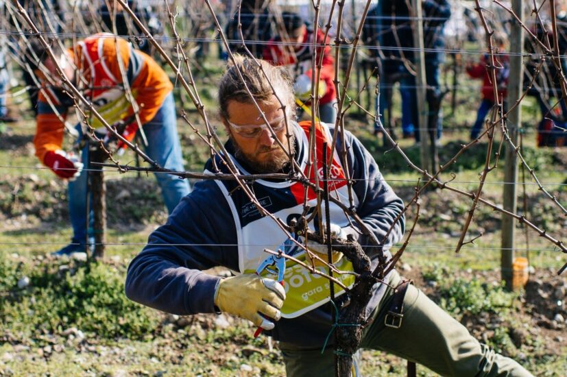 “Festival del Potatore” di Simonit & Sirch all’Agricola San Felice nel cuore del Chianti Classico 