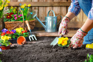 Veronafiere amplia ancora i suoi eventi, con la fiera dedicata alla vita in campagna e hobby farmer