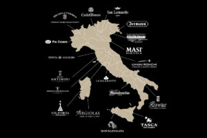 “La sinergia tra aziende aiuta a crescere e ad interpretare i cambiamenti nel mondo del vino”