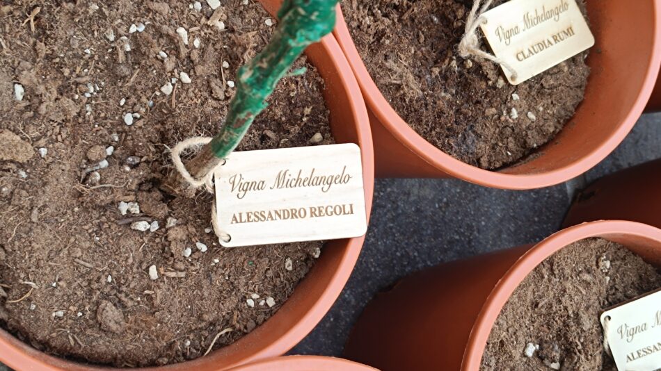 Nasce “Vigna Michelangelo” by Donne Fittipaldi, a Firenze