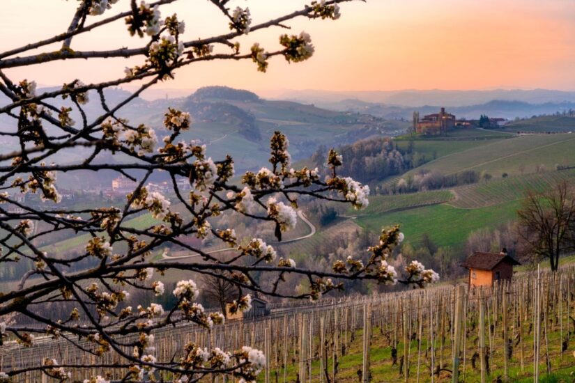 Primavera nell’Alto Piemonte e Gran Monferrato “Città Europea del Vino” 2024