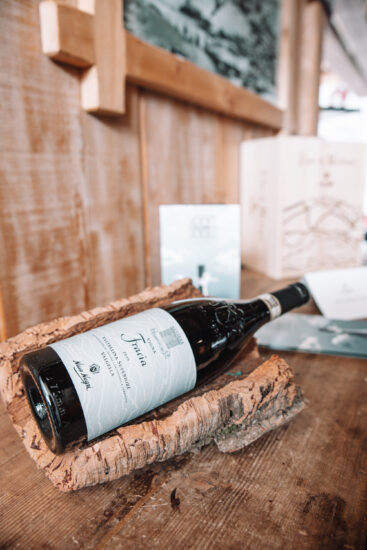 Montagna e vino, rapporto profondo, raccontato dalla Nino Negri  (Ph: Francesca Marta Pavesi)