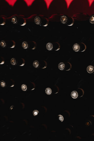 Montagna e vino, rapporto profondo, raccontato dalla Nino Negri  (Ph: Francesca Marta Pavesi)