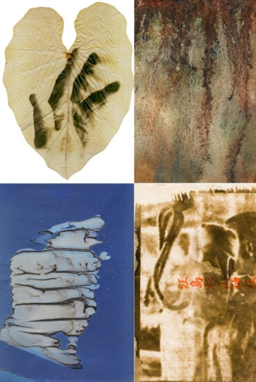 Le opere in mostra (credit: Scott Hunter, Almudena Romero, Hannah Fletcher, Edd Carr)