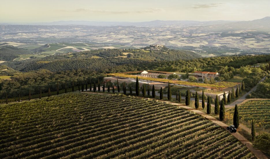 Rendering della nuova cantina di Poggio Antico