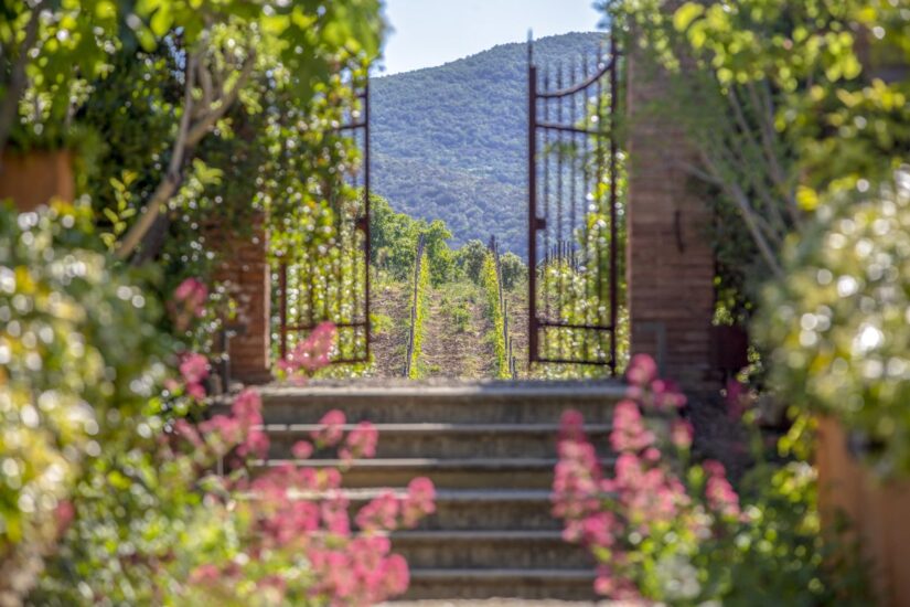 “Primavera di eventi”: l’icona Tenuta di Biserno sarà a “Terre di Toscana” al Lido di Camaiore