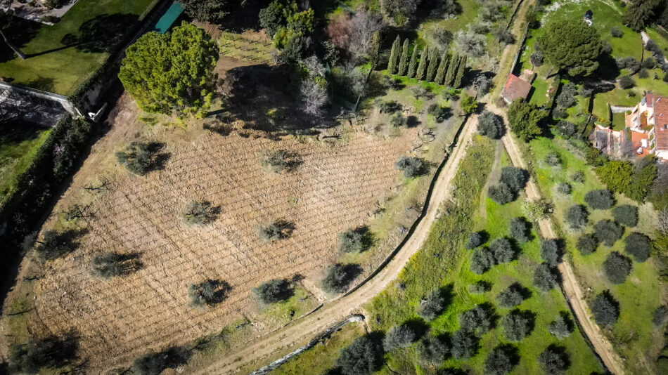 Nasce “Vigna Michelangelo” by Donne Fittipaldi, a Firenze