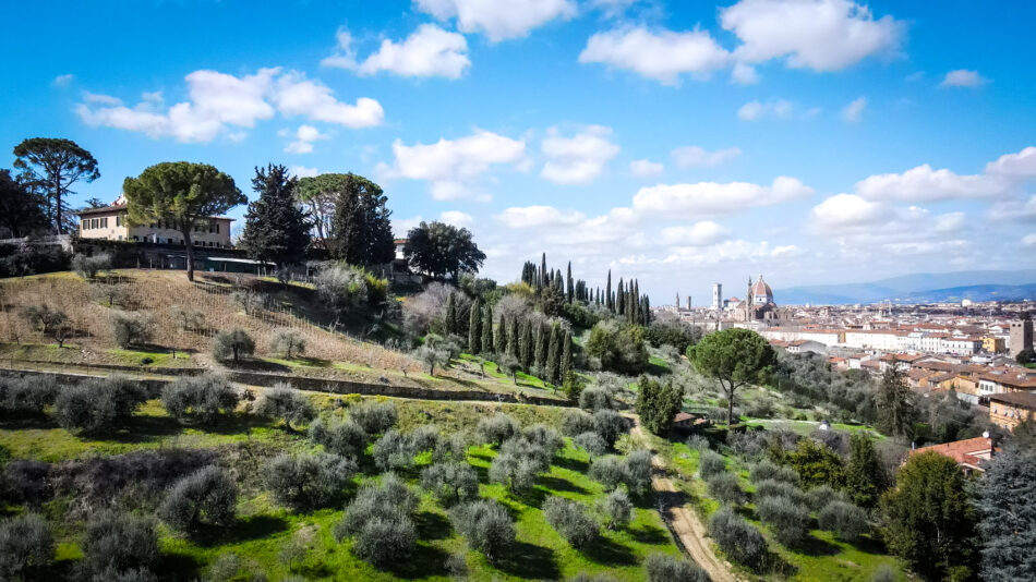 Nasce “Vigna Michelangelo” by Donne Fittipaldi, a Firenze