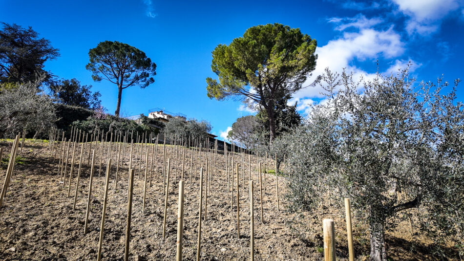 Nasce “Vigna Michelangelo” by Donne Fittipaldi, a Firenze