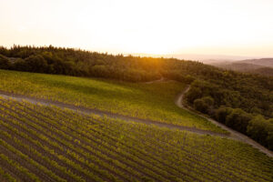 Ruffino punta sul “Winemaking Council”, un “dream team” di enologi e agronomi di respiro mondiale