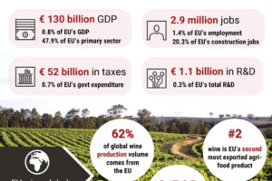 130 miliardi di euro di Pil, 52 di tasse, presidio del territorio: il valore del vino per l’Ue