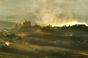 I Quaderni di WineNews - Il Barolo