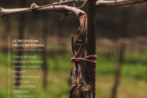 I Vini di WineNews - N. 300