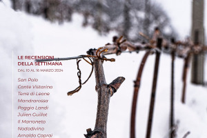 I Vini di WineNews - N. 301