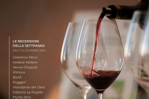 I Vini di WineNews - N. 302