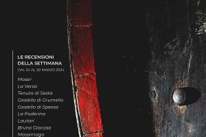 I Vini di WineNews - N. 303