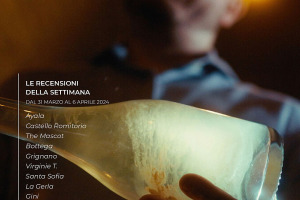 I Vini di WineNews - N. 304