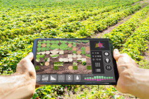 Il futuro del settore primario passa dall&rsquo;agritech, ma gli investimenti non decollano
