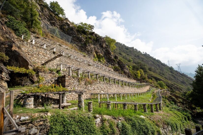 The “veteran” Cave Mont Blanc and the wines refined at high altitude: a ...