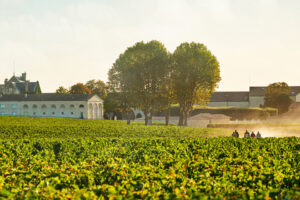 Crisis doesn’t affect the blazon: the most desired wines are from Bordeaux. For Italy, Sassicaia