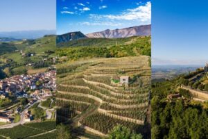 Senza vino, l’Italia perderebbe l’1,1% del Pil ed un valore di 45,2 miliardi di euro all’anno