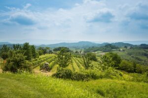 Collio: le radiose giornate di maggio