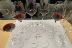 I Super Tuscans che hanno segnato il “rinascimento enoico” della Toscana e l’identità di territorio